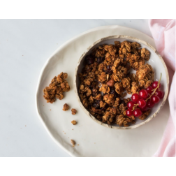 Granola biologique | Noisette, Chocolat, Cramberry