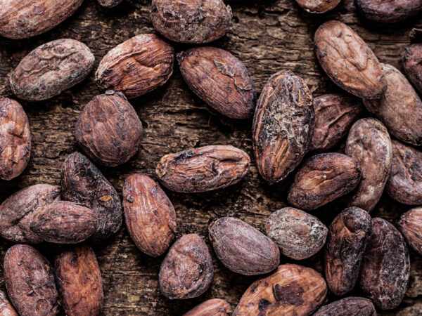 Chocolate maker Mikkel Friis-Holm working chocolate by hand